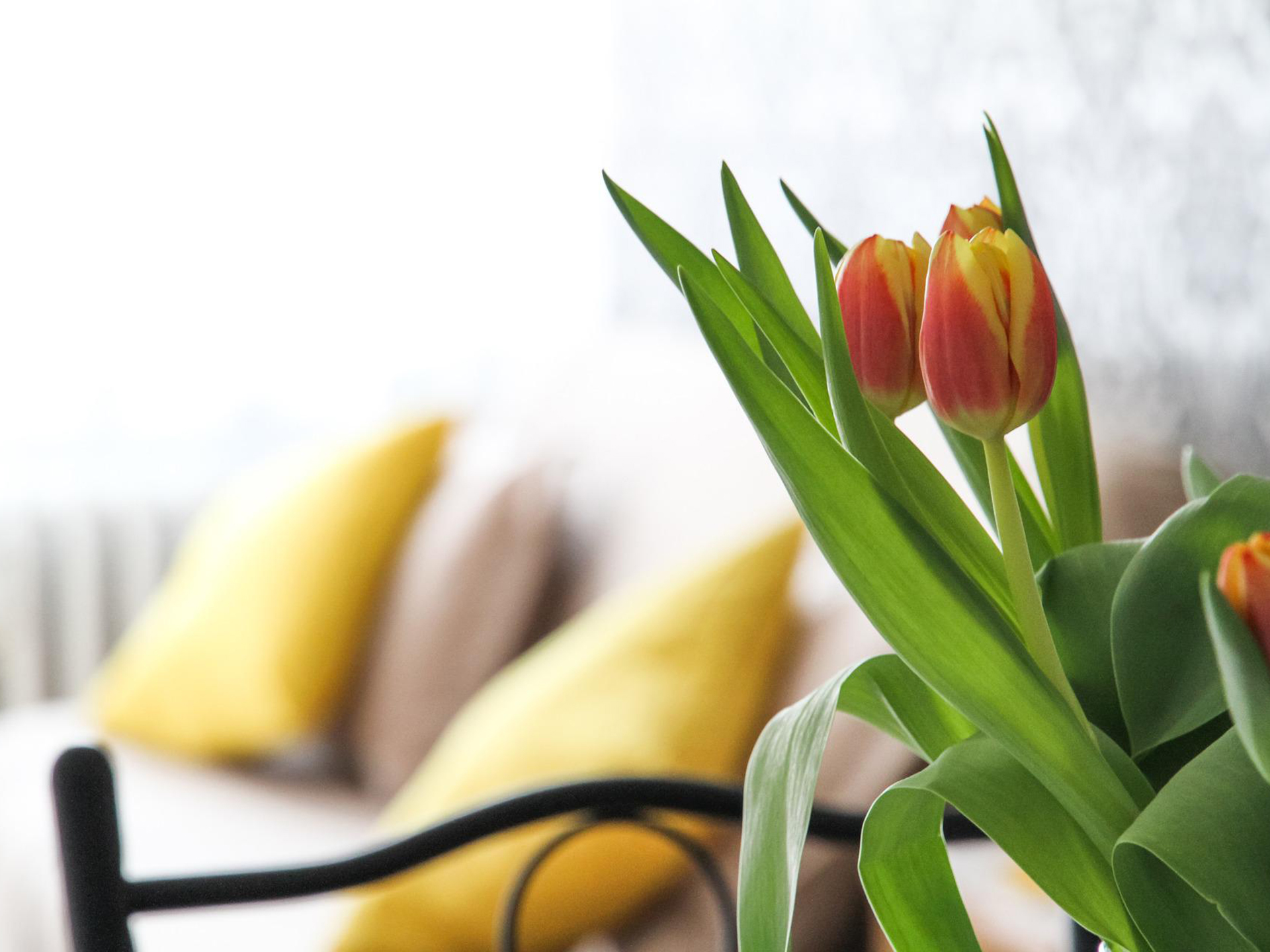 房地產誠信買賣原則